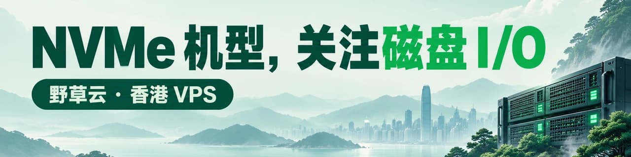 NVMe 机型，关注磁盘 I/O｜野草云 · 香港 VPS