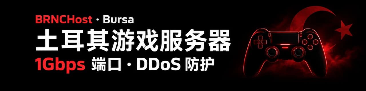 BRNCHost：Bursa土耳其游戏服务器，1Gbps端口，DDoS防护